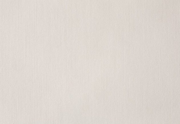 Dayline: Ivory or White